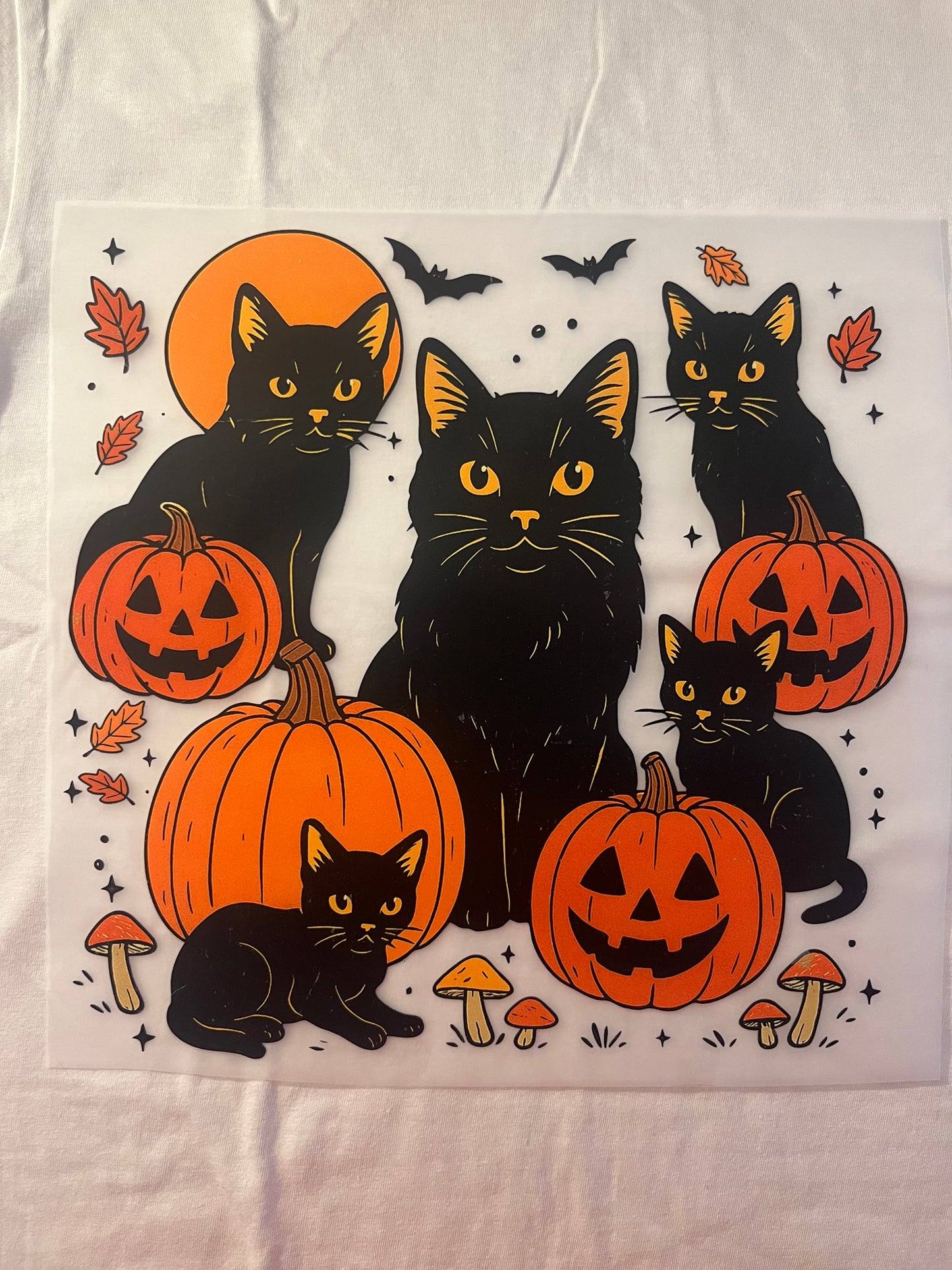 Black Cat & Pumpkins