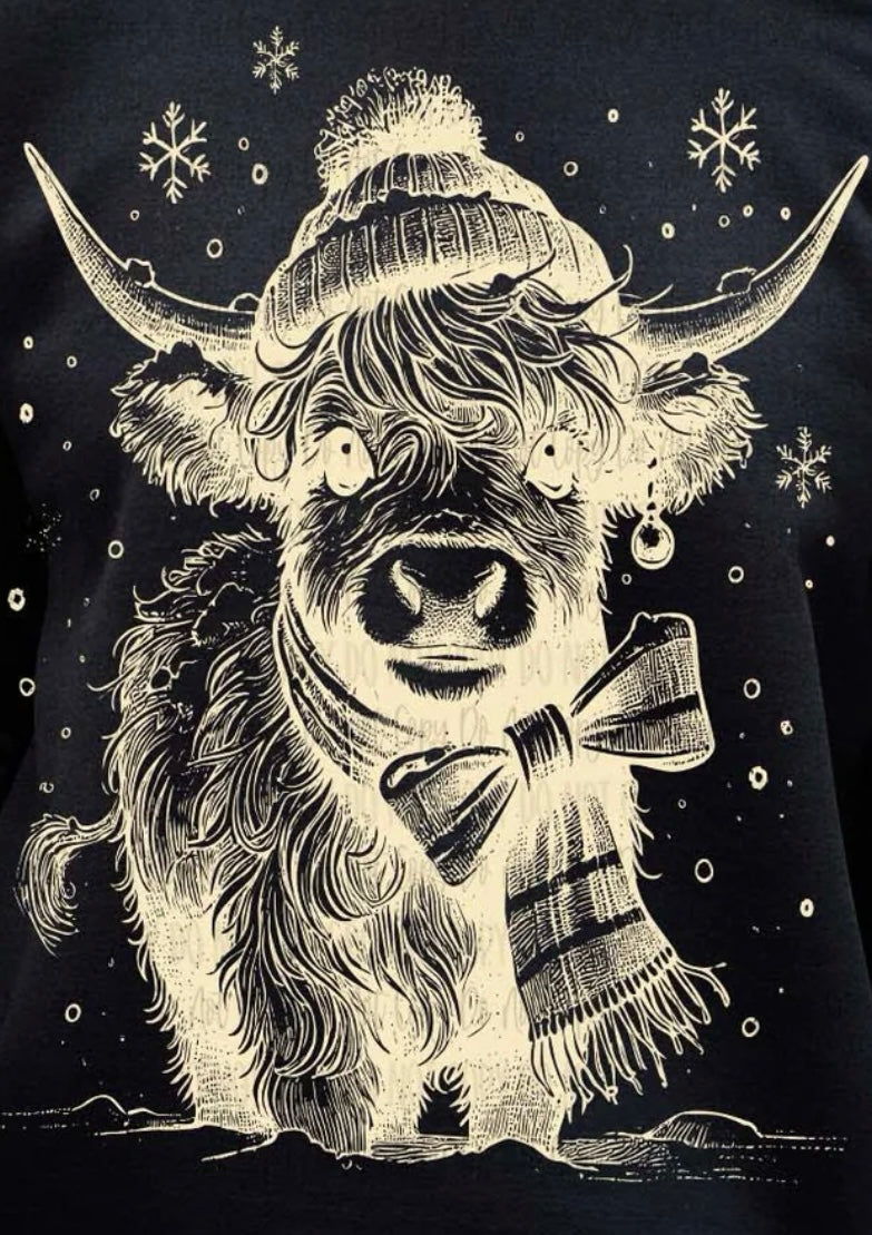Snowy Highland Cow