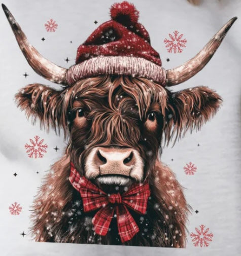 Snowy Highland Cow