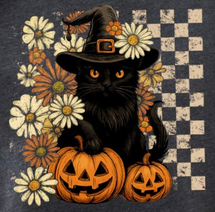Black Cat/ Pumpkins