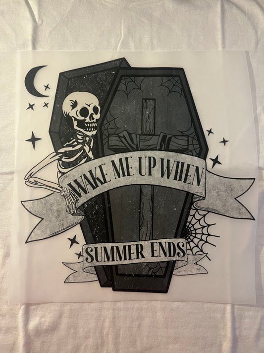Wake Me When Summer Ends