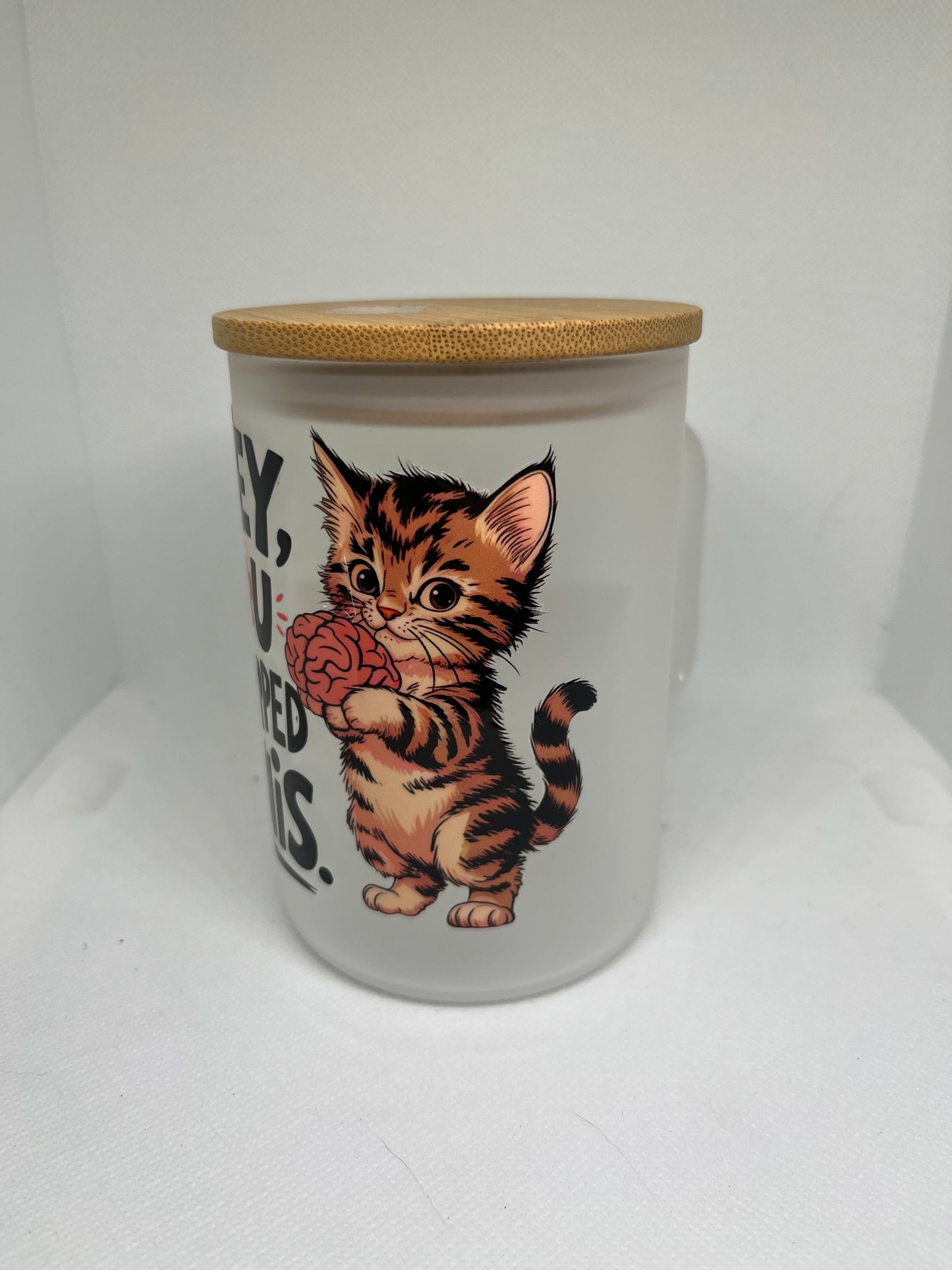 Hey, You Dropped This Funny Cat Frosted Glass Mug with Bamboo Lid